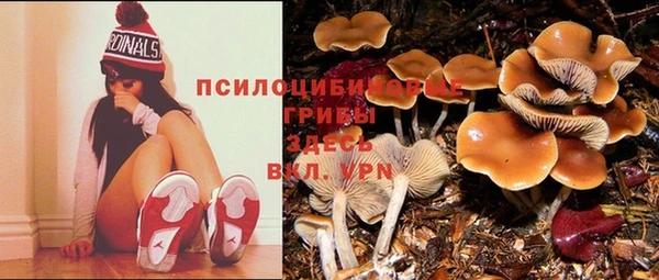 MDMA Абинск