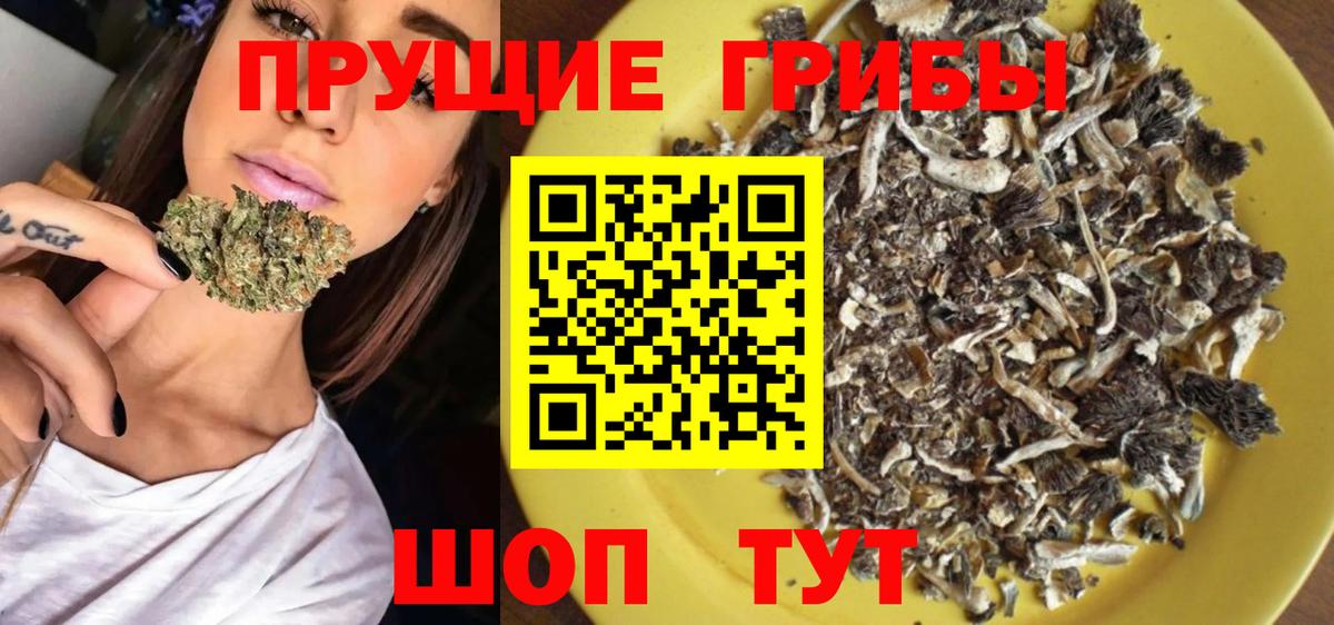 Псилоцибиновые грибы ЛСД Клинцы