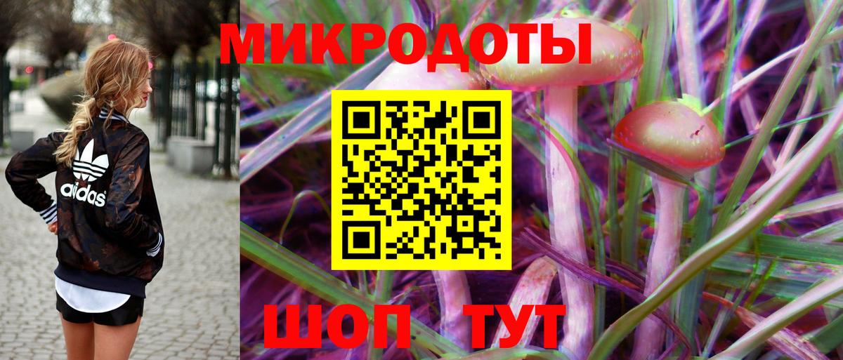 Клинцы  Галлюциногенные грибы прущие грибы  Вход с VPN 