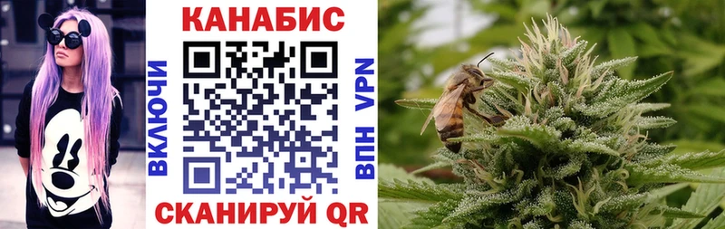 купить наркоту  Клинцы  Каннабис индика 